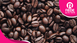 Clima e aumento do consumo devem manter preço do café em alta 