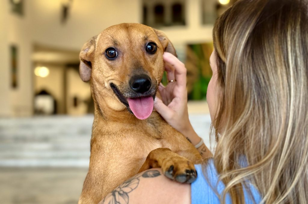 Nova legislação reconhece o vínculo afetivo entre tutores e pets, permitindo a despedida final no mesmo jazigo da família. (Foto: Divulgação/AgênciaBrasil)