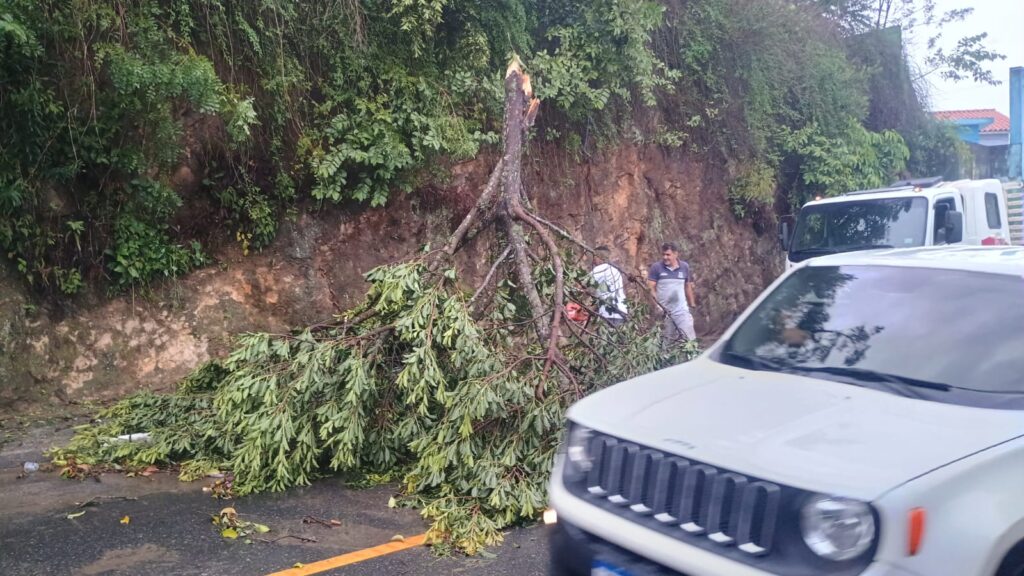 Equipes da prefeitura realizam limpeza e monitoramento em Santa Isabel após passagem de ciclone extratropical. Foto: Divulgação/Secom Santa Isabel